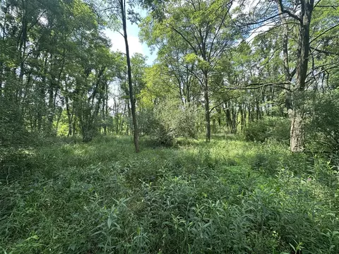 N Q, Marshall, MI 49068 photo 11