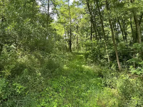 N Q, Marshall, MI 49068 photo 10