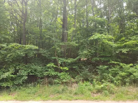0 Newaygo, New Era, MI 49446