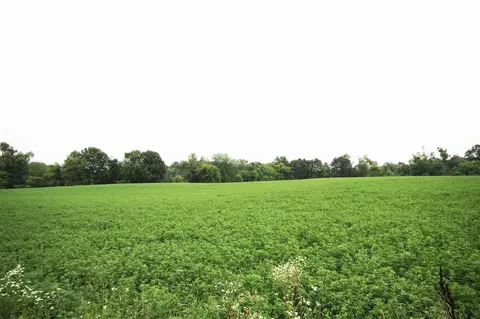 East S, Vicksburg, MI 49097