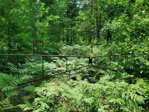 18 Mile, Bitely, MI 49309 photo 2