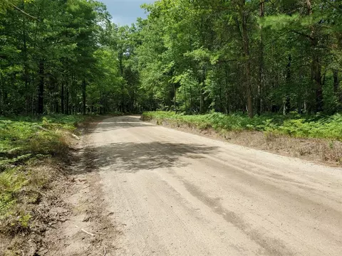 18 Mile, Bitely, MI 49309 photo 4