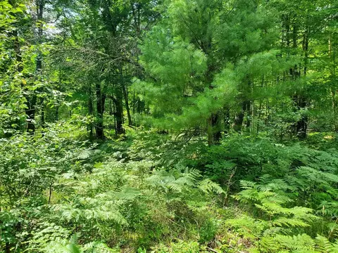 18 Mile, Bitely, MI 49309 photo 3