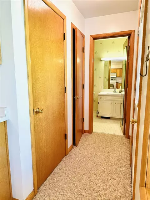 19225 15 12 Mile, Marshall, MI 49068 photo 13