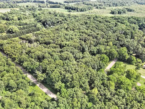 Dudd Road - Parcel 2, Three Rivers, MI 49093