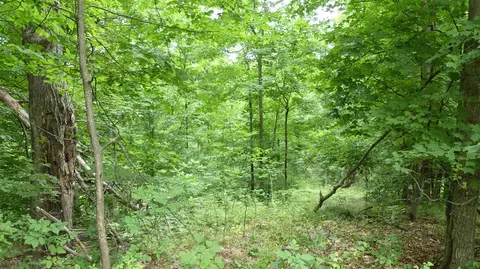 12017 Marilla, Copemish, MI 49625 photo 34