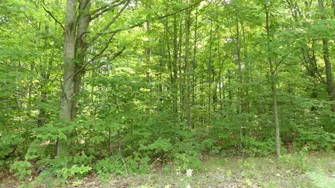 12017 Marilla, Copemish, MI 49625 photo 40