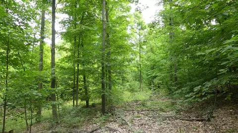 12017 Marilla, Copemish, MI 49625 photo 21