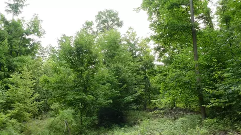 12017 Marilla, Copemish, MI 49625 photo 30