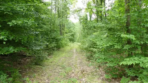 12017 Marilla, Copemish, MI 49625 photo 22