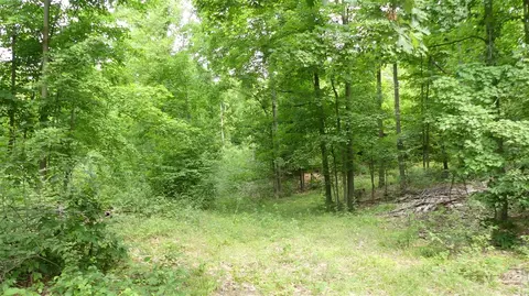 12017 Marilla, Copemish, MI 49625 photo 20