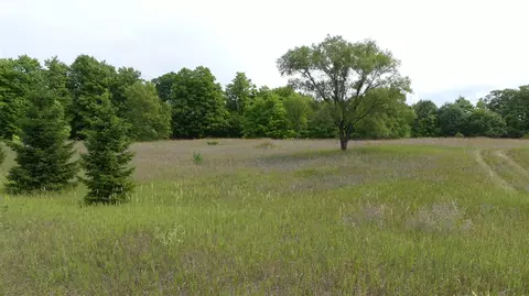 12017 Marilla, Copemish, MI 49625 photo 15