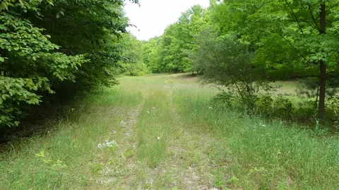 12017 Marilla, Copemish, MI 49625 photo 16
