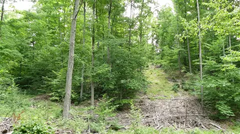 12017 Marilla, Copemish, MI 49625 photo 39