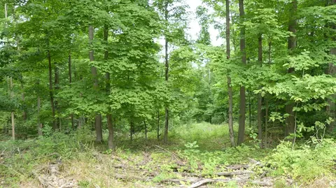 12017 Marilla, Copemish, MI 49625 photo 31