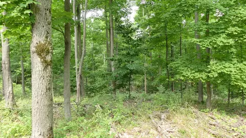 12017 Marilla, Copemish, MI 49625 photo 32