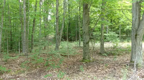 12017 Marilla, Copemish, MI 49625 photo 41