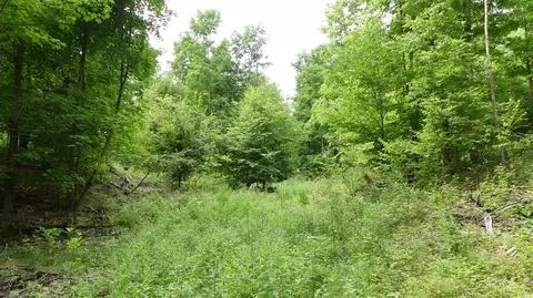 12017 Marilla, Copemish, MI 49625 photo 37