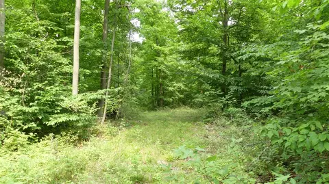 12017 Marilla, Copemish, MI 49625 photo 27