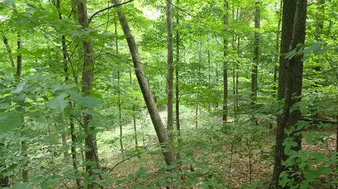 12017 Marilla, Copemish, MI 49625 photo 36