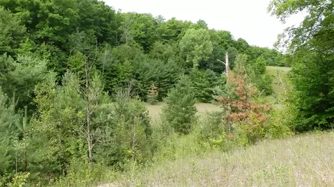 12017 Marilla, Copemish, MI 49625 photo 18
