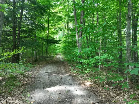8464 Wild Wood, Mancelona, MI 49659