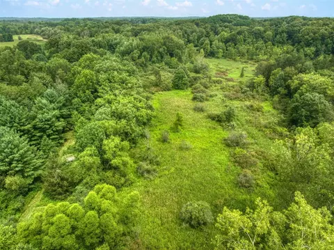 V/l Hickory Creek Lane, Parma, MI 49269 photo 5
