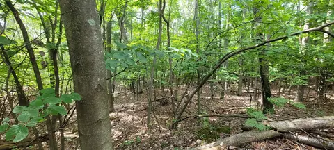 0 N Silver Rdg, Mears, MI 49436 photo 17