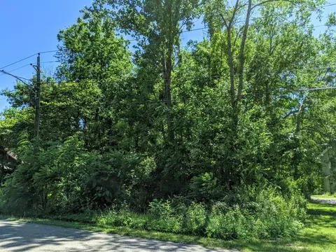 Black River, Bangor, MI 49013