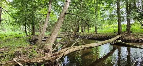 25 3 Acres Oravainen, Kaleva, MI 49645