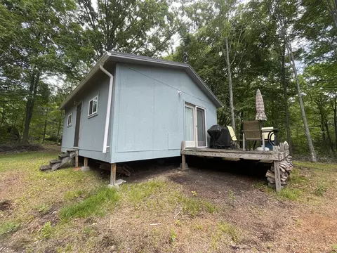 8255 W Cutcheon, Manton, MI 49663