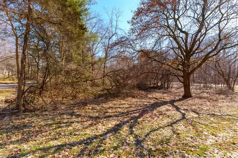 Vl Corey Lake Rd, Three Rivers, MI 49093 photo 16