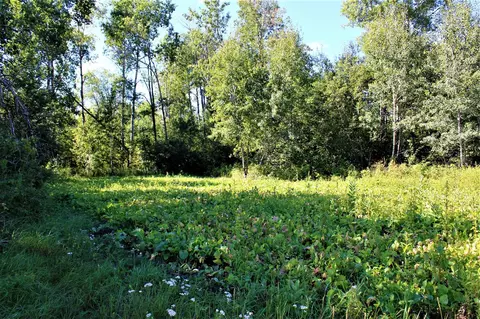 0 Vl Binder Rd, National City, MI 48748
