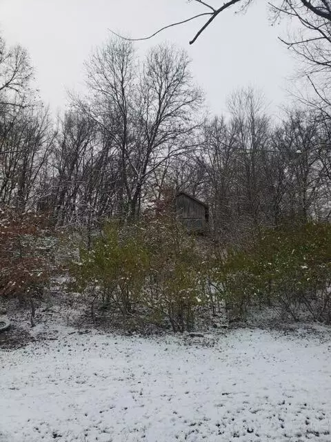 56012 Ruggles, Three Rivers, MI 49093 photo 28