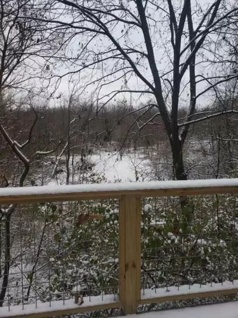 56012 Ruggles, Three Rivers, MI 49093 photo 26