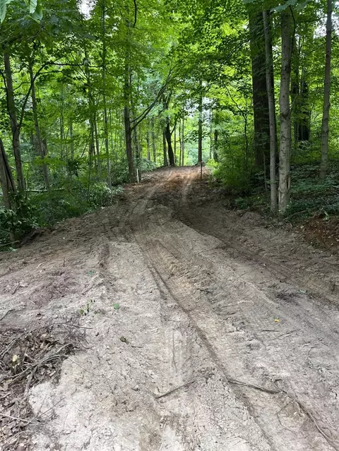 75251 34th, Covert, MI 49043 photo 3