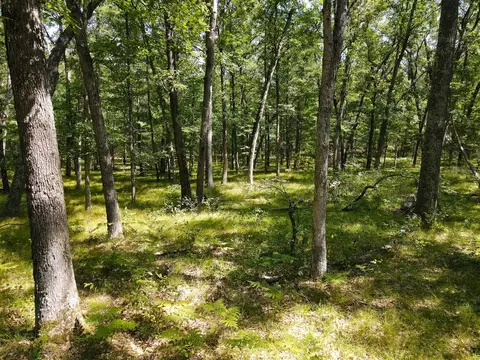 V/l S Star Lake, Baldwin, MI 49304 photo 11
