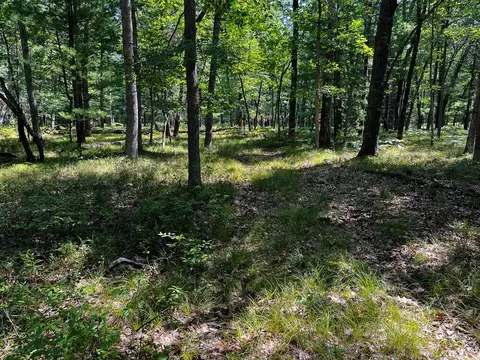 V/l S Star Lake, Baldwin, MI 49304 photo 17