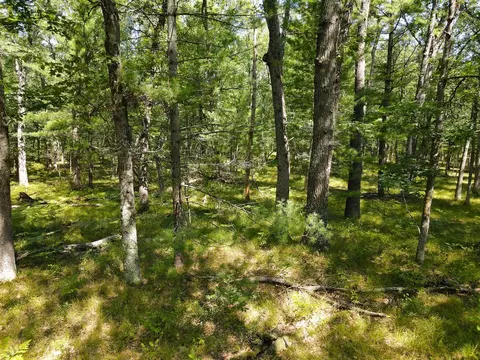 V/l S Star Lake, Baldwin, MI 49304 photo 12