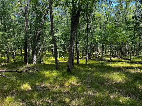 V/l S Star Lake, Baldwin, MI 49304 photo 16