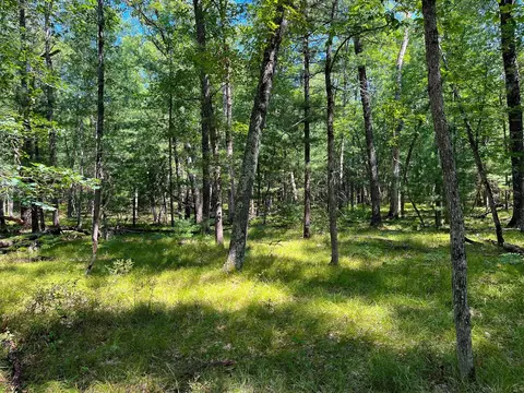 V/l S Star Lake, Baldwin, MI 49304 photo 18