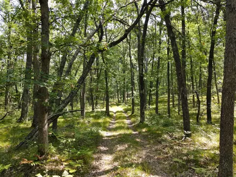 V/l S Star Lake, Baldwin, MI 49304 photo 9