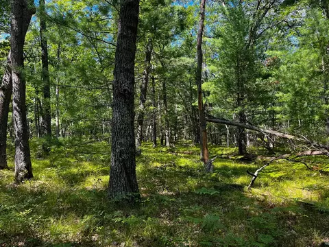 V/l S Star Lake, Baldwin, MI 49304 photo 14