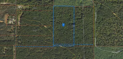 V/l S Star Lake, Baldwin, MI 49304 photo 2