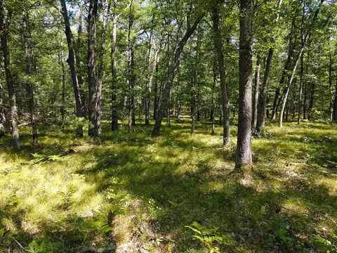 V/l S Star Lake, Baldwin, MI 49304 photo 10