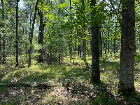 V/l S Star Lake, Baldwin, MI 49304 photo 20