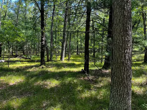 V/l S Star Lake, Baldwin, MI 49304 photo 15