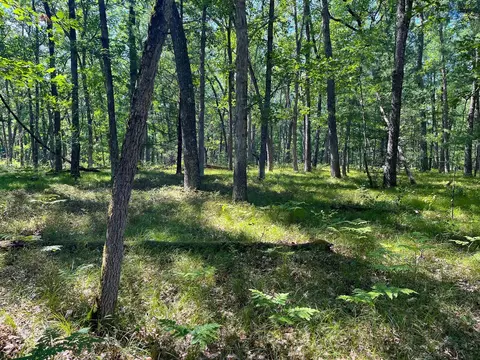 V/l S Star Lake, Baldwin, MI 49304 photo 19