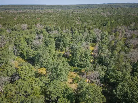 V/l Van, Wellston, MI 49689