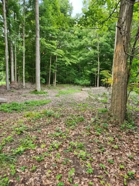 lot184 S E Shr, Stanton, MI 48888